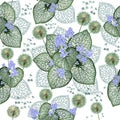 Beautiful openwork brunnera leaves and cute dandelions. Summer light background with bright decorative flowers and leaves.